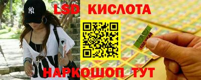 шишки Новокубанск