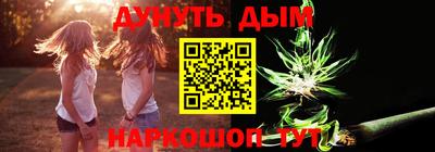 шишки Новокубанск