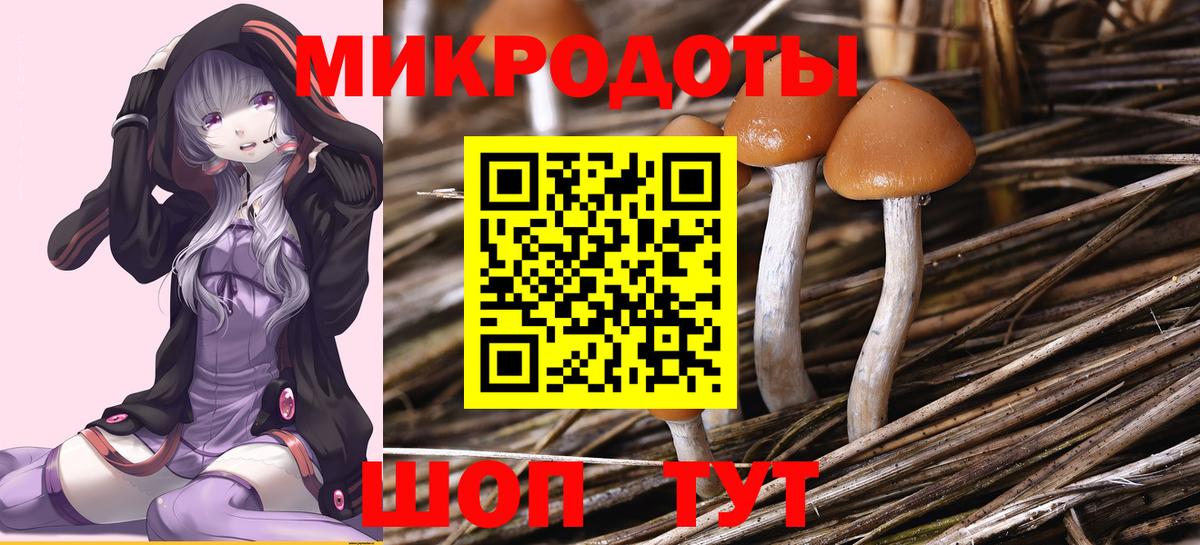 Псилоцибиновые грибы Psilocybine cubensis  Вход с VPN  Строитель 