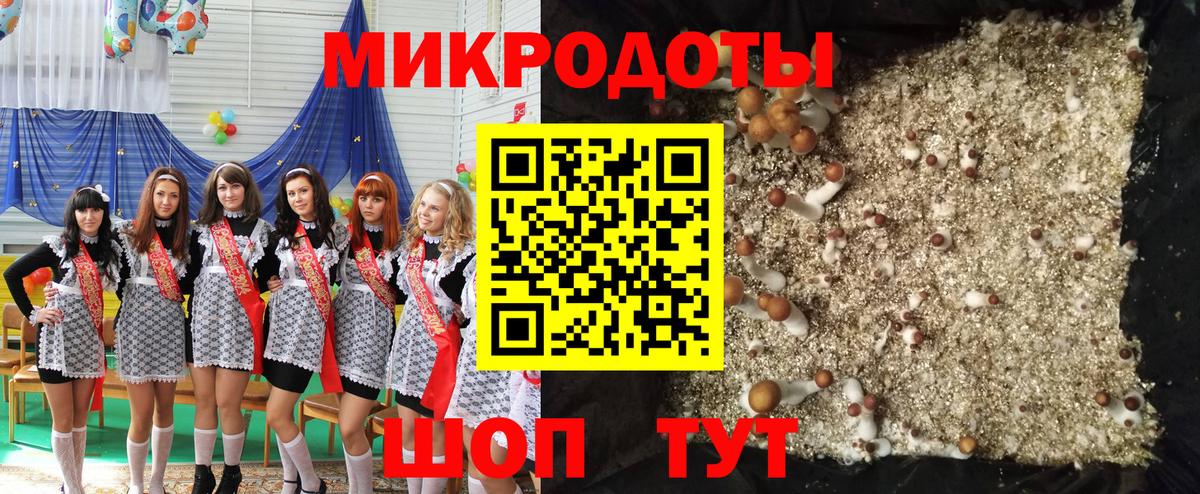 Псилоцибиновые грибы ЛСД Строитель